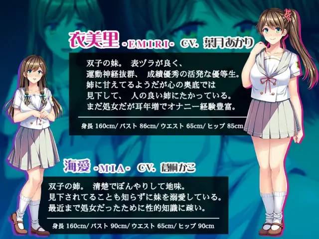 Galgame：姐妹双子的爱憎
