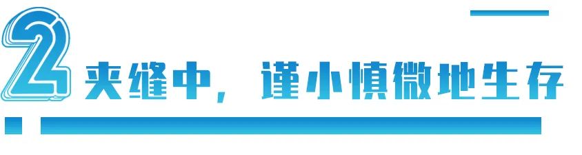 日韩世界杯韩国为什么排第四名(韩剧有中国元素，20万人竟向总统府请愿：韩国人为何自大又敏感？)