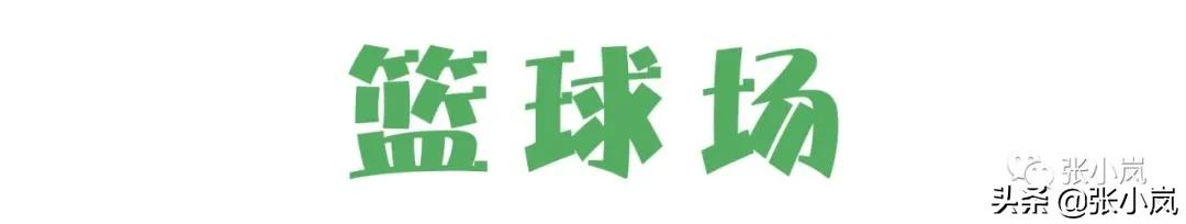藏在韶关市中心森林里的儿童公园，大部分人都不知道，光速安排