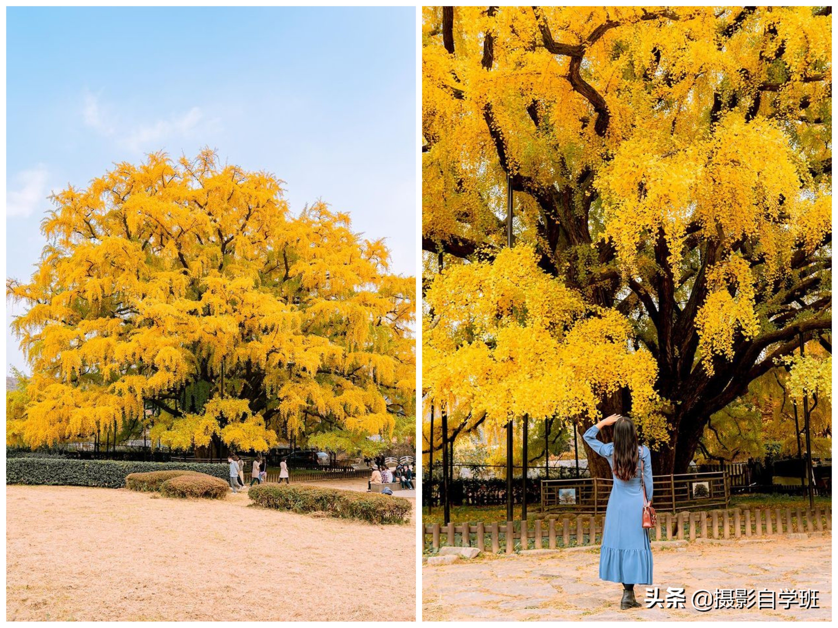 旅游拍照技巧和思路怎么写好一点(旅游拍照技巧和思路怎么写好一点作文)