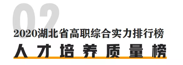 湖 北 高 职 综 合 实 力 排 行 榜