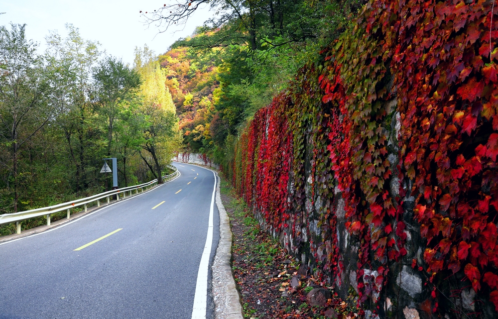 太行天路，五彩斑斓，峡谷如画，秋叶如诗