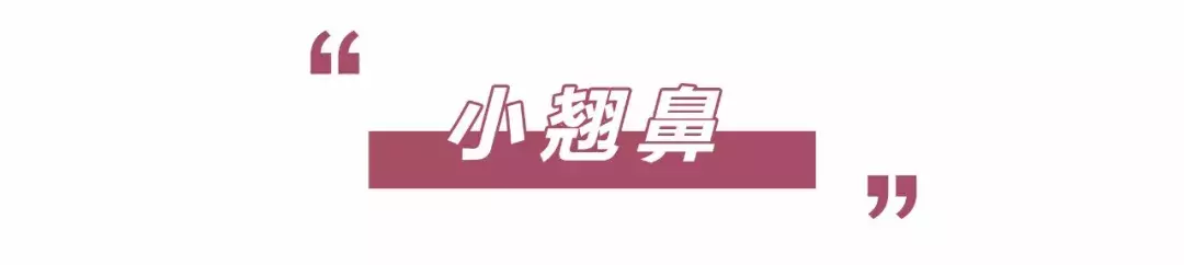 最漂亮的3种鼻子,第1种很少有人有