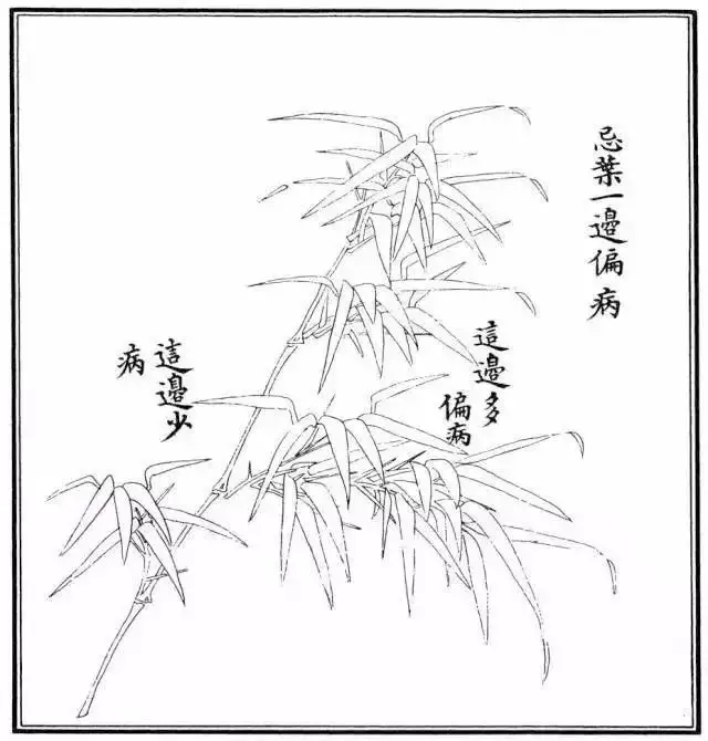 不会画竹子?教你最常见竹子画法,简单易学,快收藏起来临摹学习