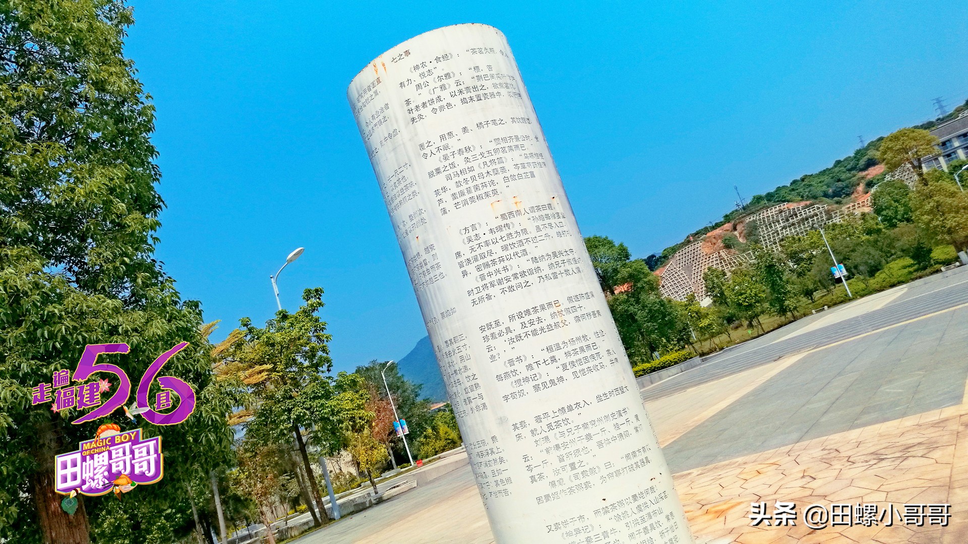 中国第一所，也是唯一一所本科茶学院，深藏于大山里，清新似茶！