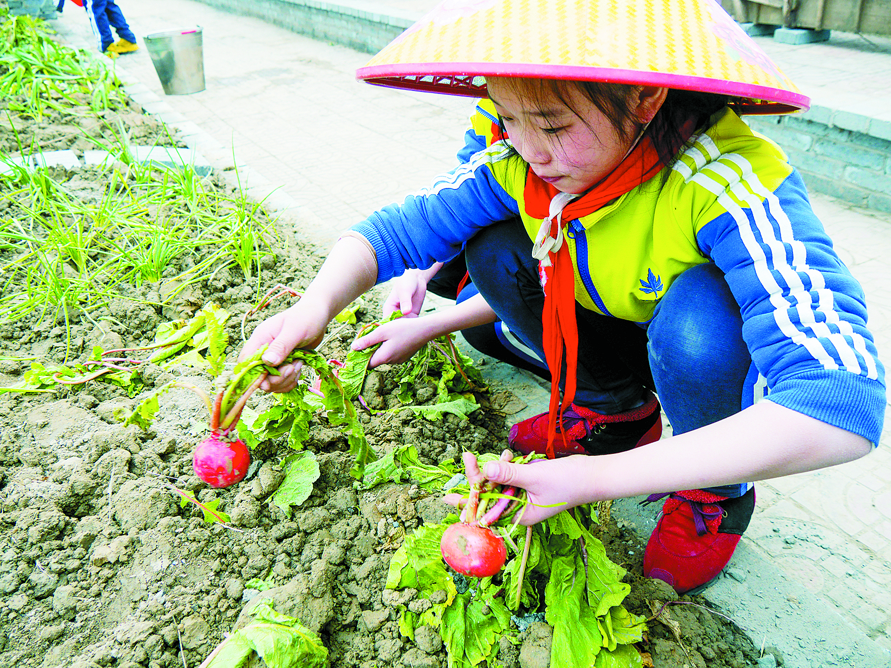 湖北天门文教昌盛，“状元之乡”声名远扬，如今依然人杰地灵
