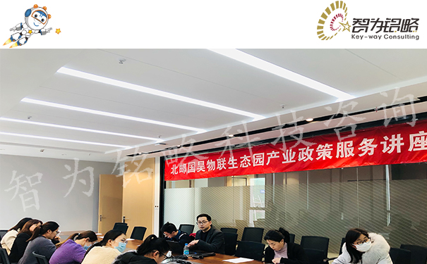 软件著作权查询,软件著作权查询系统