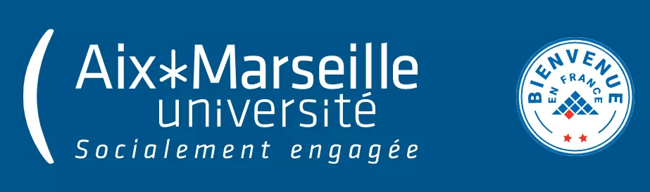 艾克斯-马赛大学：法国外省大学TOP1