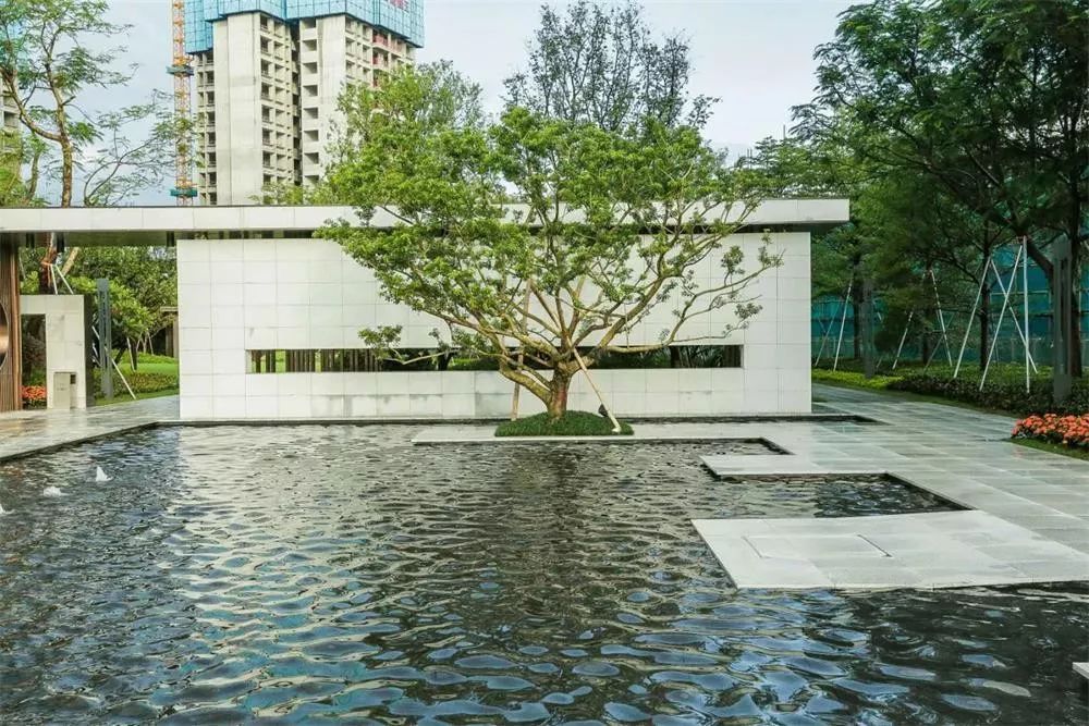 深圳教育资源也向西迁移了！最后的落脚点却在这里