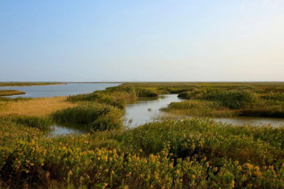 水库总面积近70平方公里,其中水面积66平方公里,为上海提供了70%的用