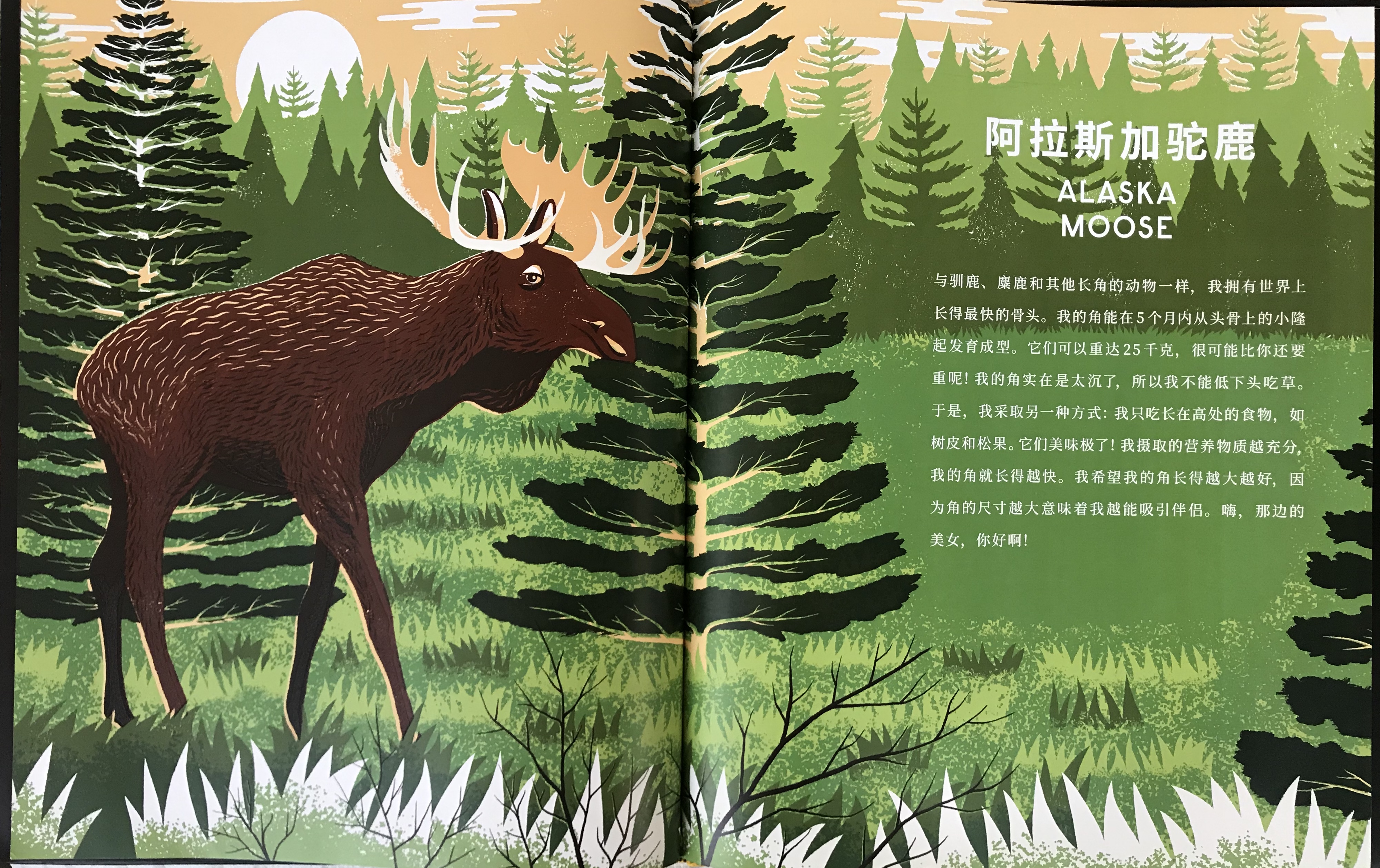 神奇的“摸骨”之书，带你揭开动物骨头的10项世界之最