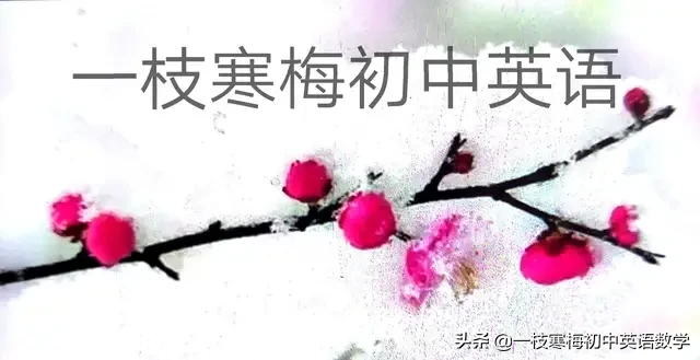 body怎么读（body怎么读音是什么意思）-第1张图片-科灵网