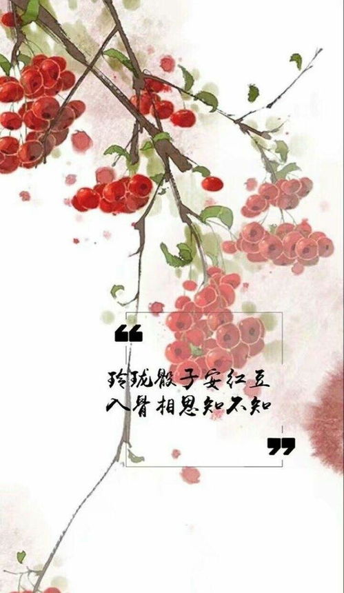 青丝三千，红尘一念