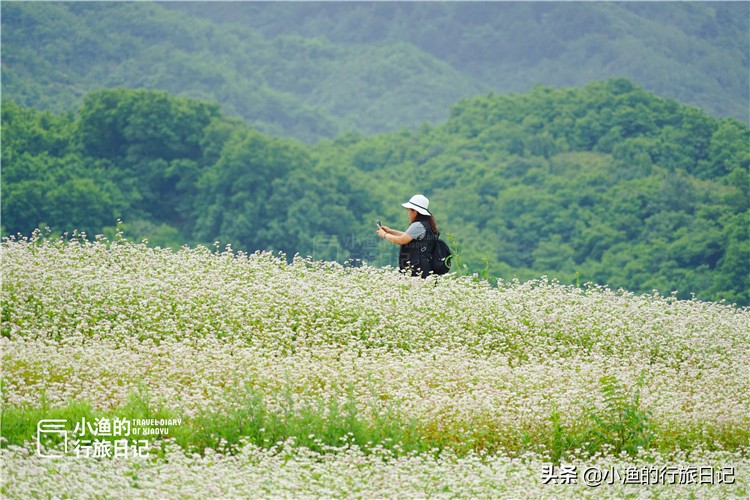 西安秦岭小镇太适合自驾了！处处美景与古迹，门票停车都免费