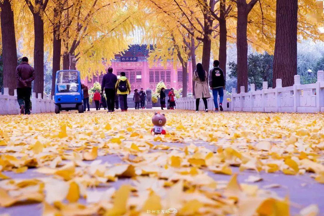 郑州这10个绝佳赏秋地，风景绝美，很多地方都还免费