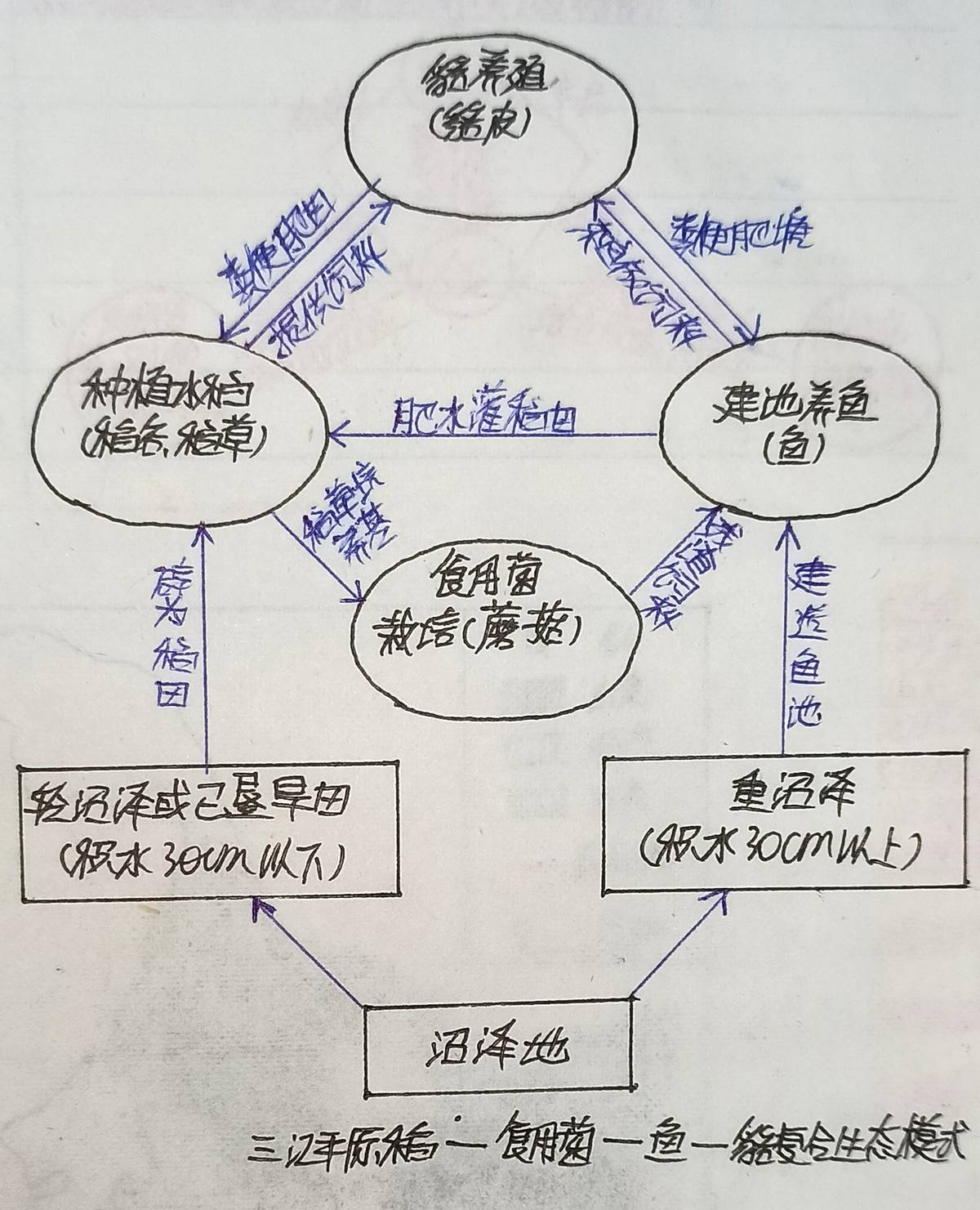 必修三4.1区域农业发展（我国东北）