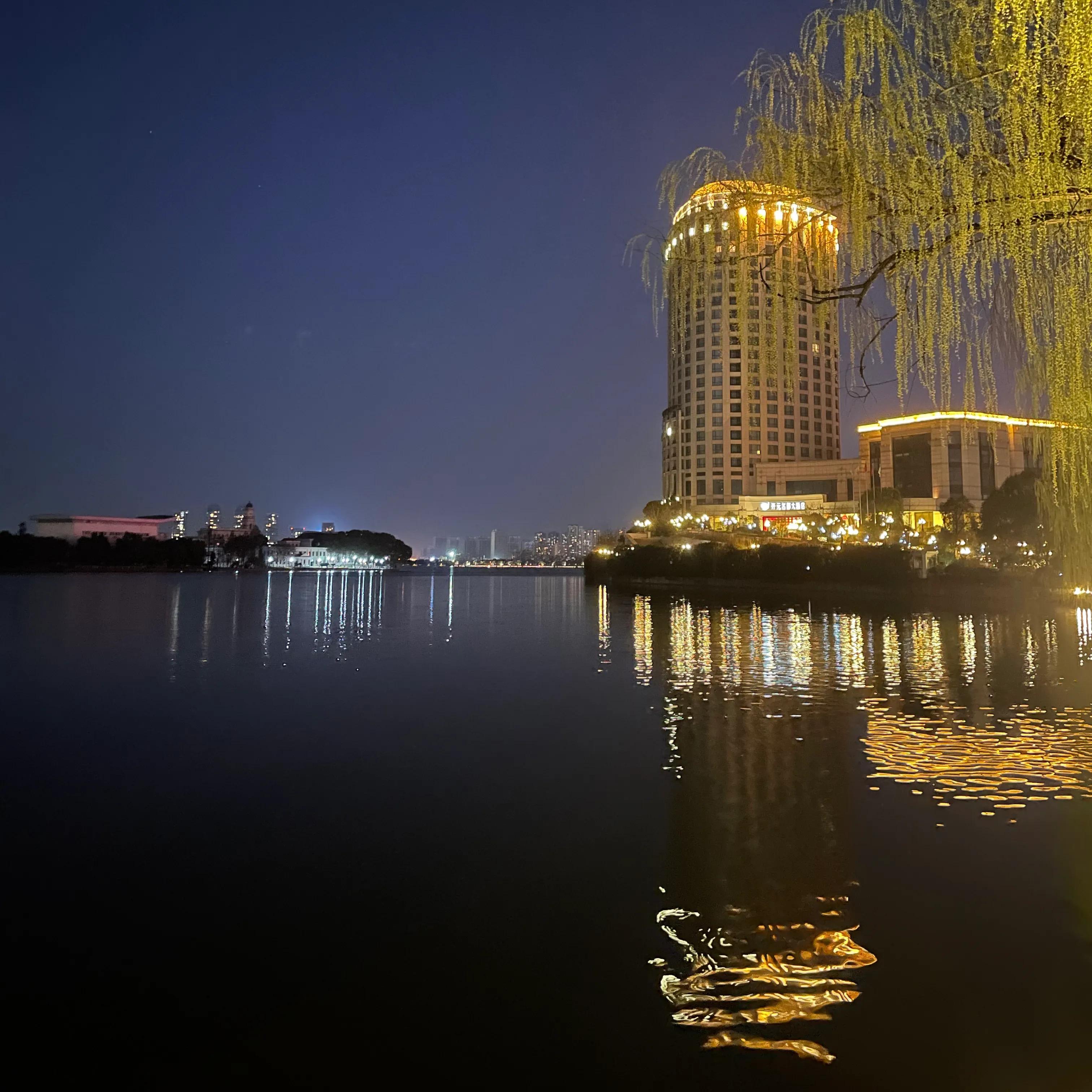 教育与产业：南宁数字科技学院和贵州数字科技大学