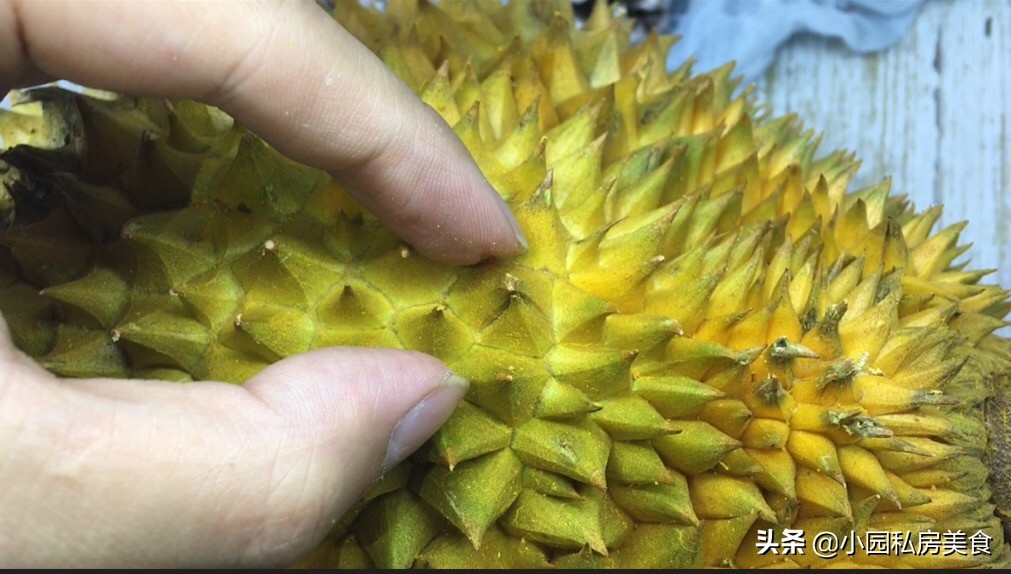 榴莲肉旁边的白色软的能吃吗（榴莲果肉旁边的白的能吃吗）-第4张图片-科灵网