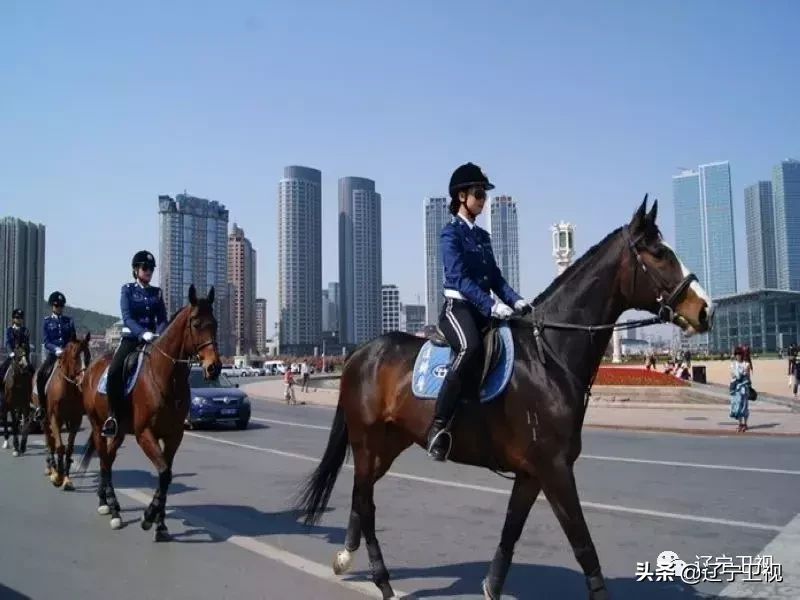 大连奥林匹克广场在哪个区(这件事 让大连人同时刷屏朋友圈)