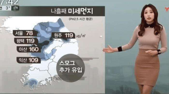 韩国天气预报女主播叫什么名字(韩国和朝鲜天气预报女主持人的风格对比，为了“收视率”真是拼了)