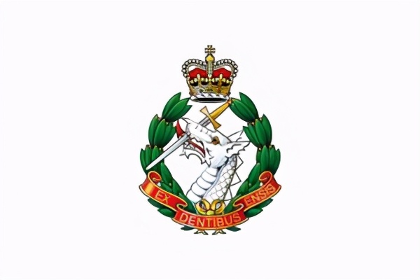 区别看待：英国陆军没有皇家封号，所属部队的皇家封号一抓一大把