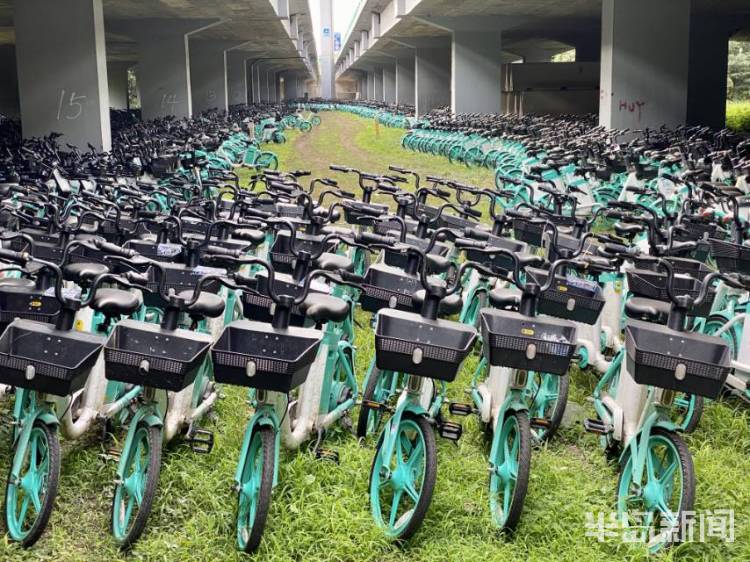 半岛独家丨太壮观！数千辆共享电动自行车藏身立交桥下！网友发问：危险不？车牌呢？