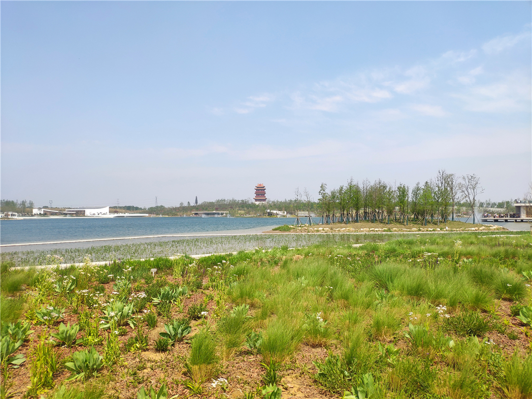 濟寧不止兒童公園!本地人推薦親子游的好去處,想遛娃的趕緊收藏