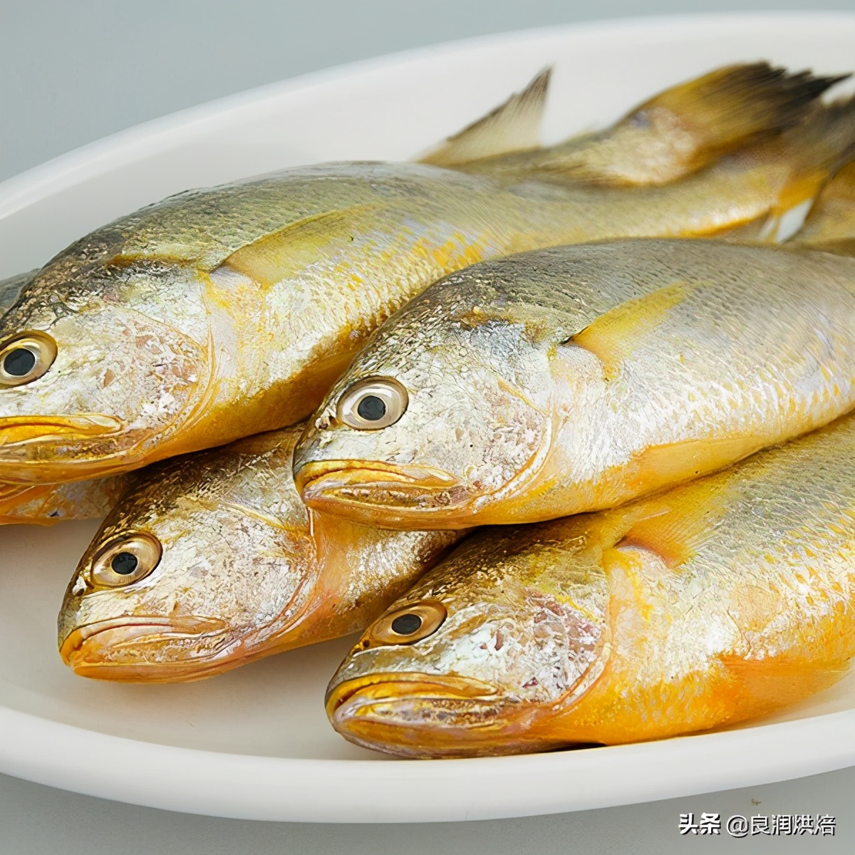 这几种刺少营养高的鱼,菜场里很便宜,你还没给宝宝吃?
