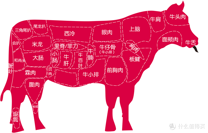 精品牛肉是什么肉（推荐10款牛肉品质好）