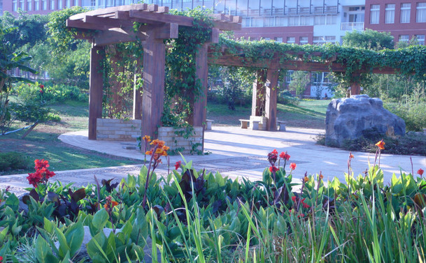 2019云南最好大学排名，云南大学排第一，排名第二是谁？