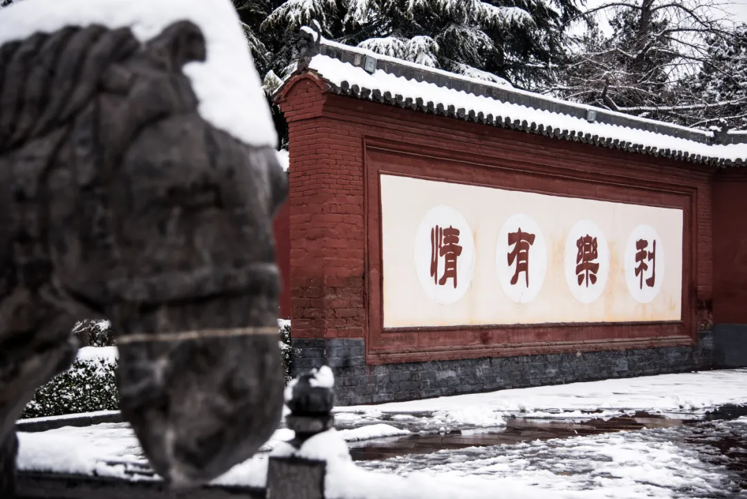 河南全省433家A级景区，免门票！中原大地的壮观美景，绝了