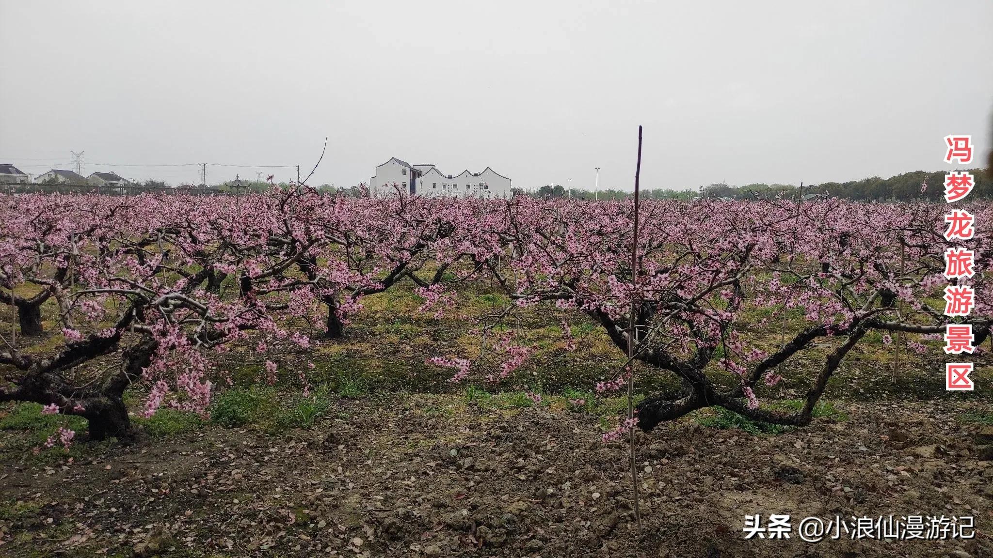 100个免费苏州景点，喜欢的赶紧收藏