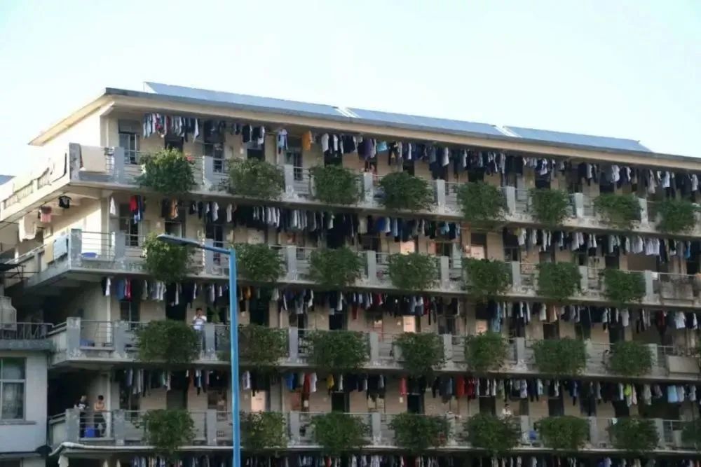 高职高考必看｜全面了解广东工贸职业技术学院