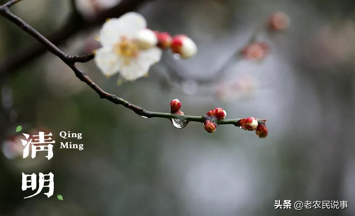 农村俗语：清明晚上三禁忌，切莫触犯要牢记，啥意思？有道理吗？