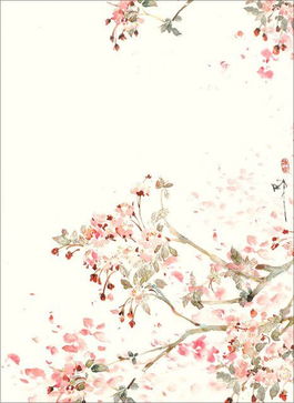 青丝三千，红尘一念