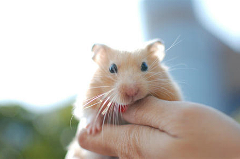 产科却意外爆满扎堆,这几点你并没有想到