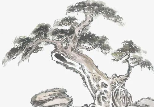 大宋第一猛男辛弃疾 :万人丛中取敌首级，却将一腔柔情都给了她