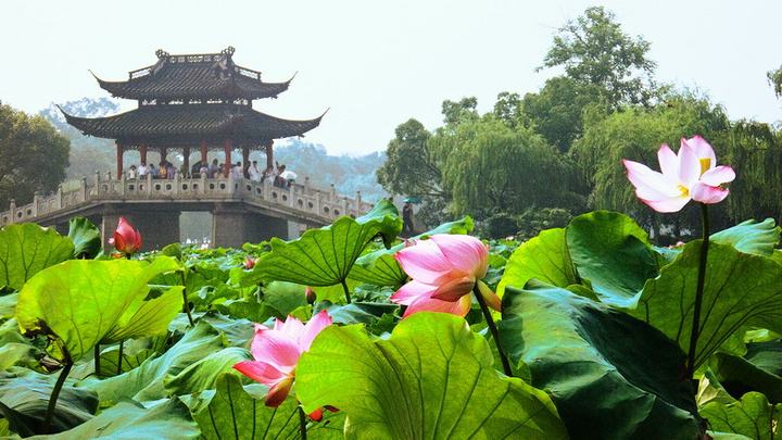 欲把西湖比西子，西湖最美十景推荐，你最喜欢哪一风景