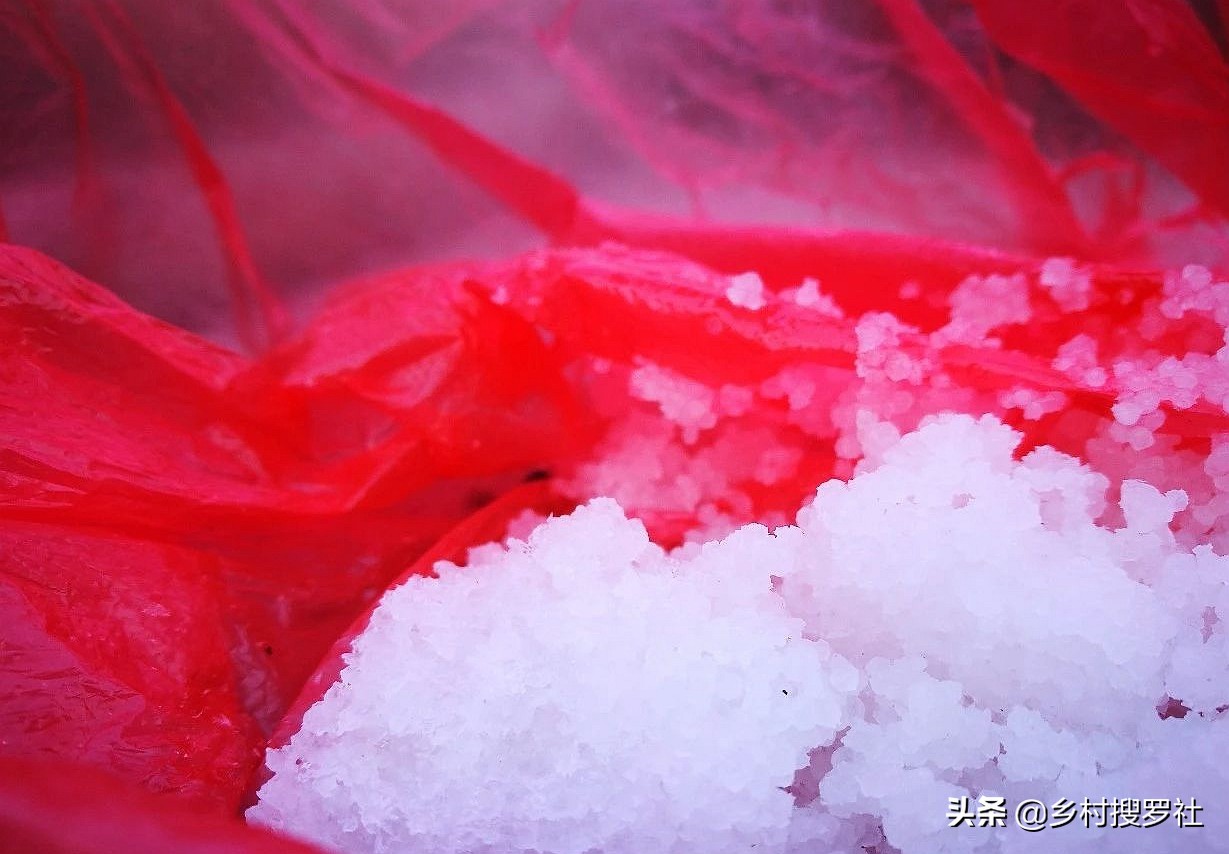 巧用氮肥，让兰花叶片肥厚墨绿？兰友说：尿素的高效使用法并不难