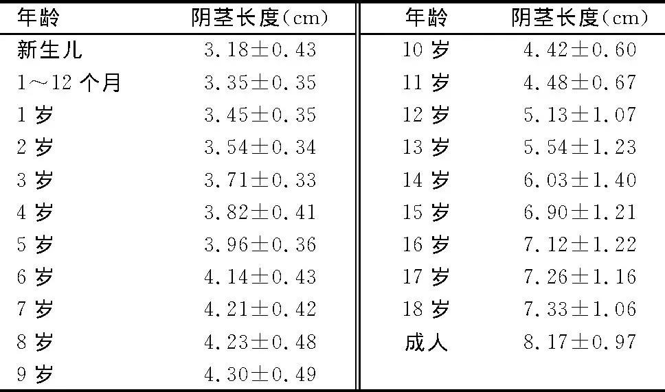 男人晨勃图片图片