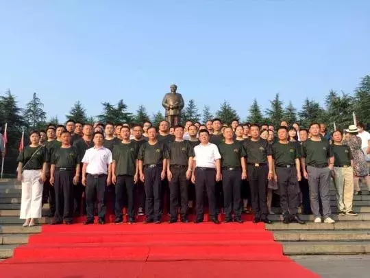 兰舍、大津、泥博士、绿森林、蒙太奇等硅藻泥Top10品牌发展论纲