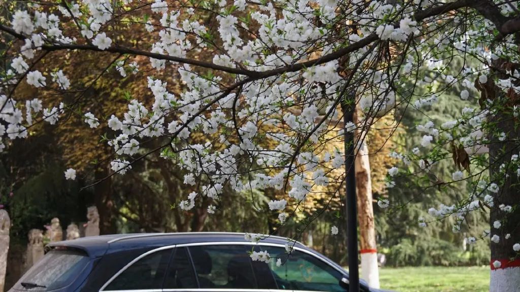 艺考资讯 | 九大美院的校园景色battle，也是神仙打架