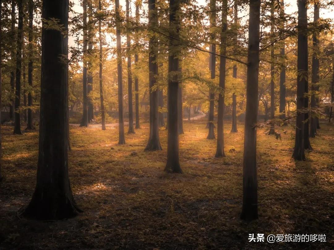 京杭大运河的秋，串联8城之美，惊艳千年时光