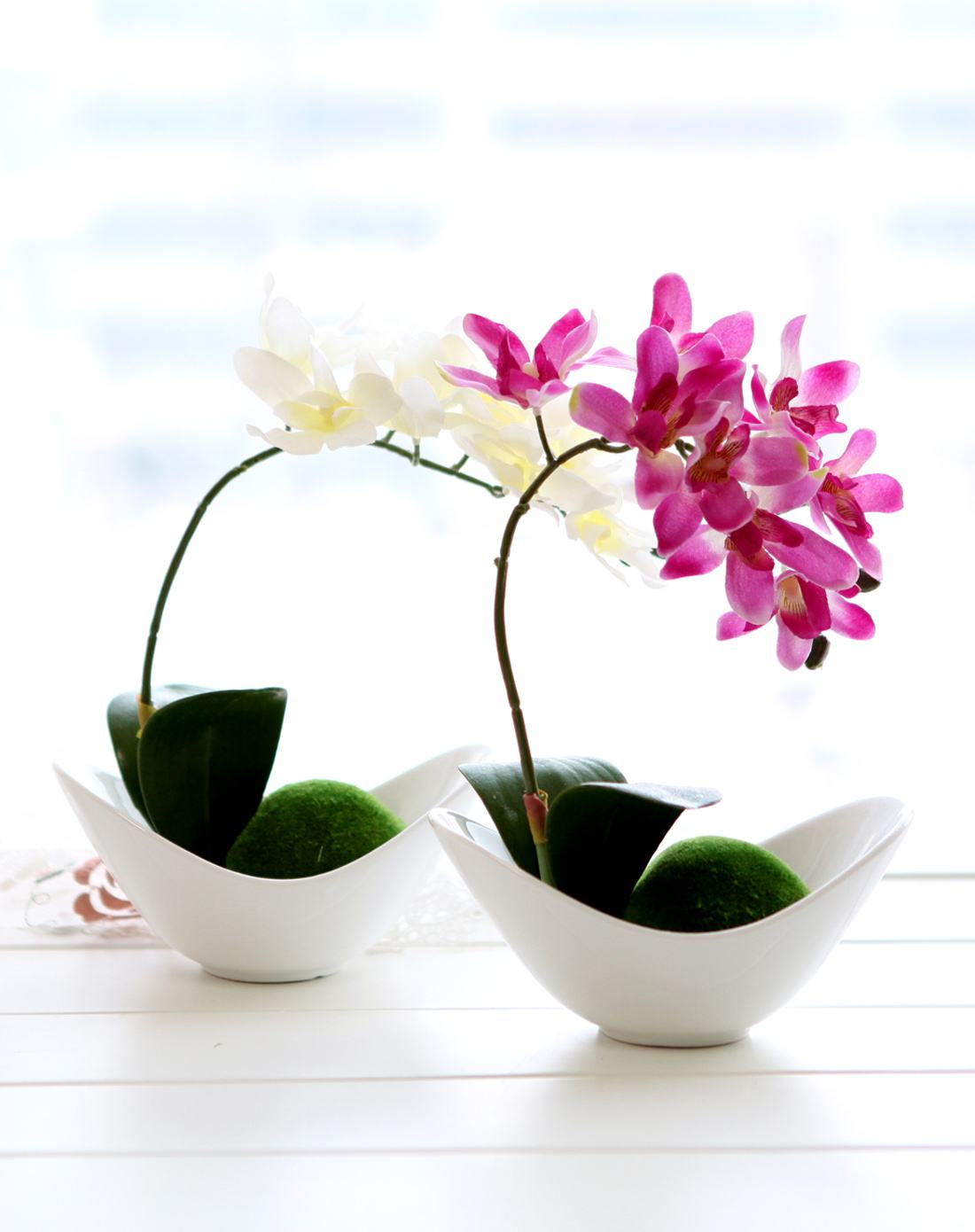 如何养殖蝴蝶兰：最全面的指南