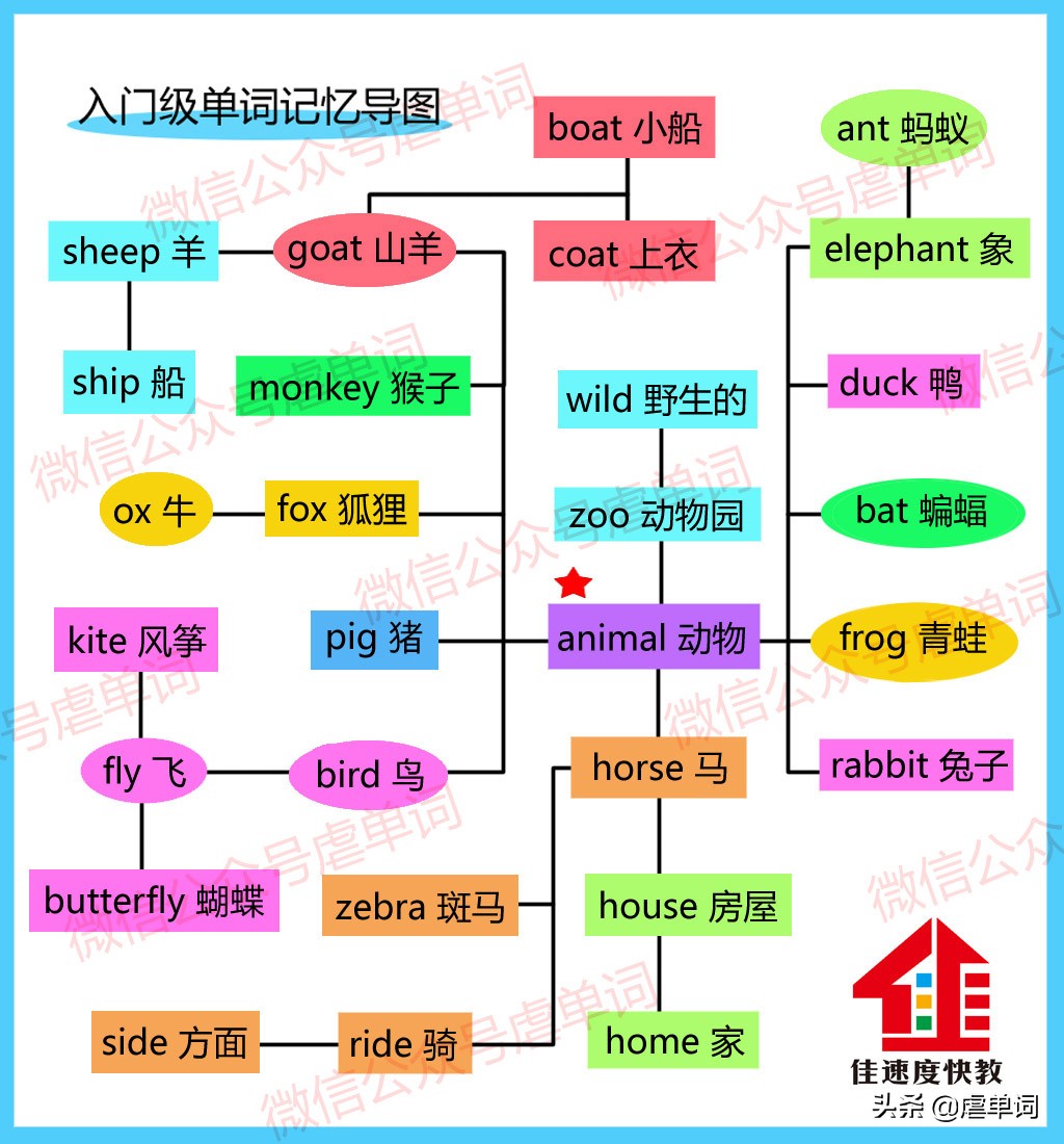 兔子英语单词怎么读（兔子英语单词怎么发音）