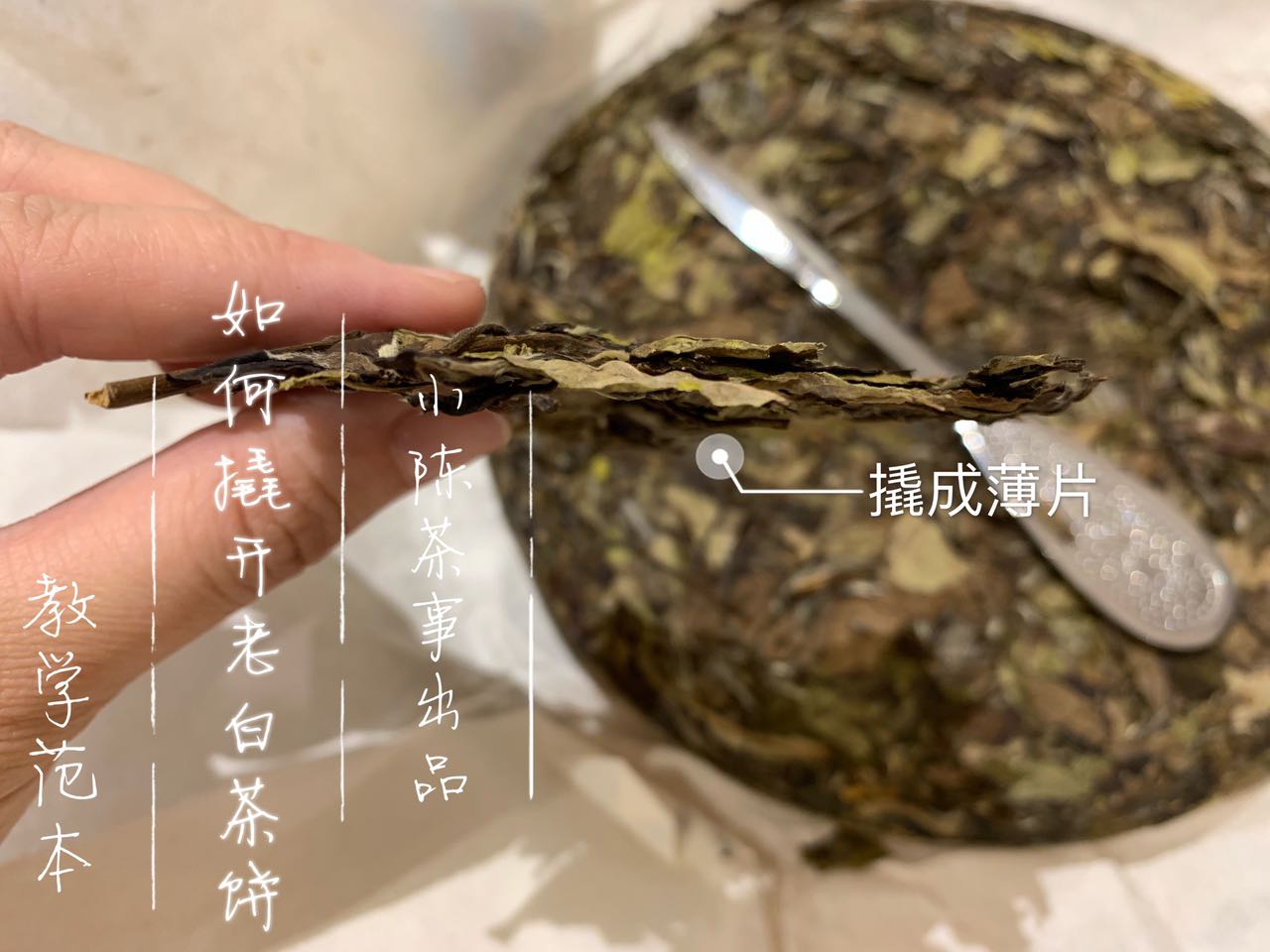 撬白茶饼的错误方法，老虎钳我忍了，微波炉加热是什么操作？