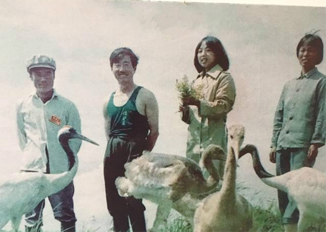 1986年，徐秀娟怀抱3颗丹顶鹤蛋南下，一年后救鹤牺牲，年仅23岁