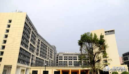 本科/专科都有！广东这些大学新宿舍曝光，明年分数怕是要涨？