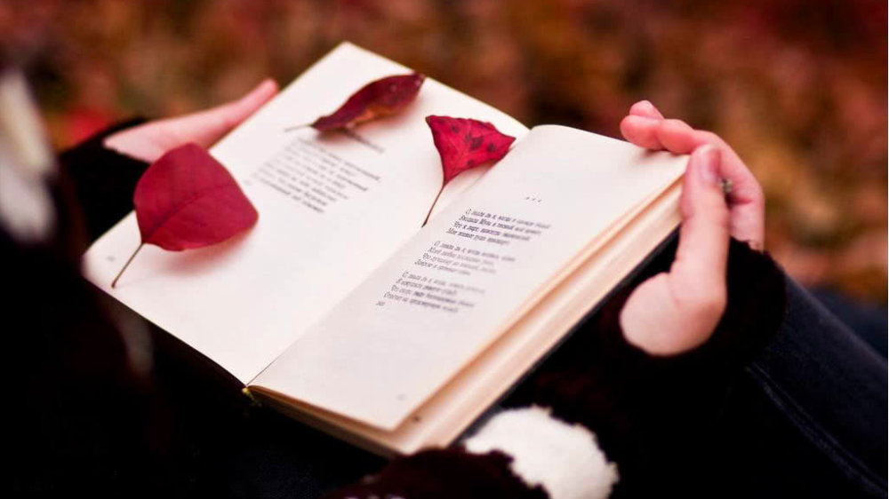 一篇论文背后的故事