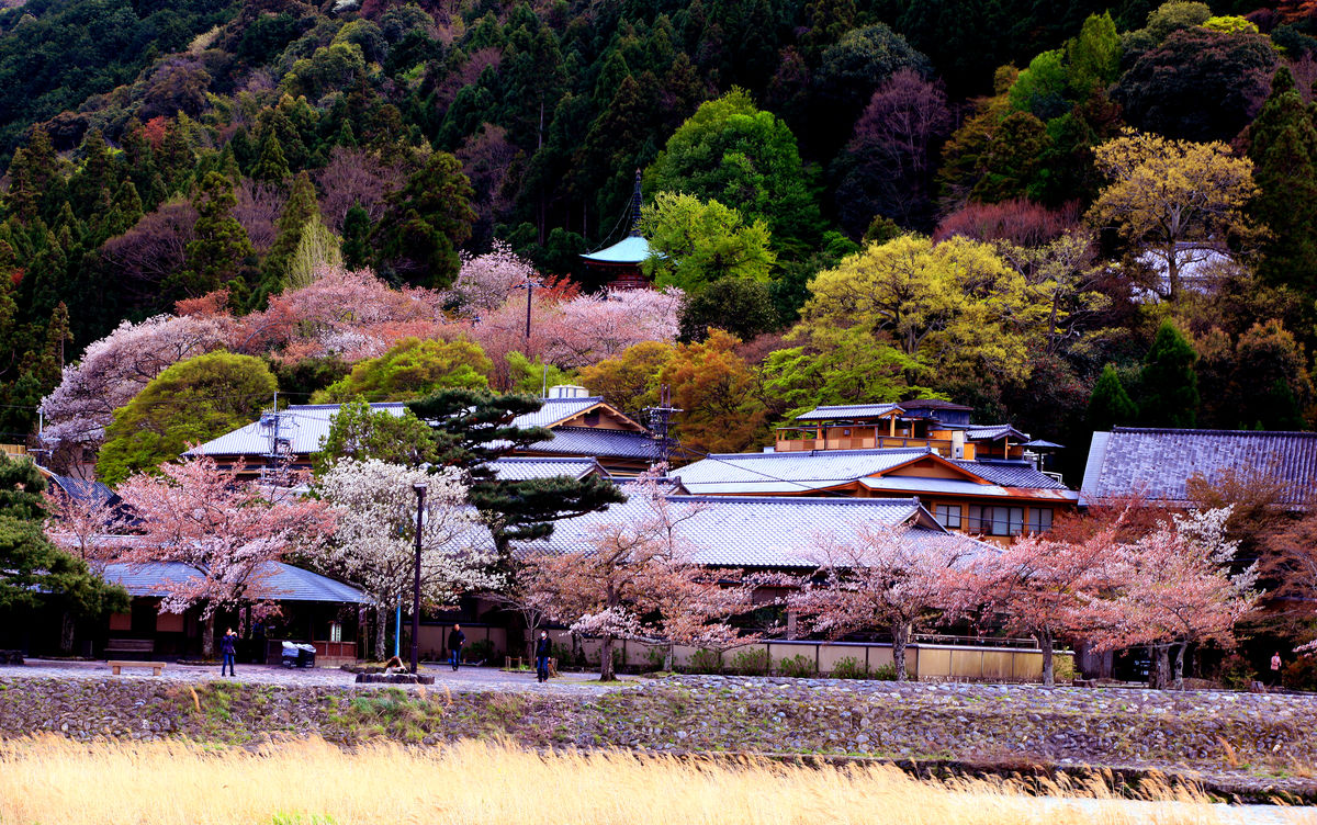 日本主要旅游景点